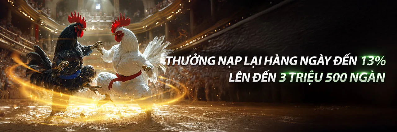 Đá Gà Trực Tuyến a888 nhà cái